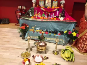 2018 Vani vizha
